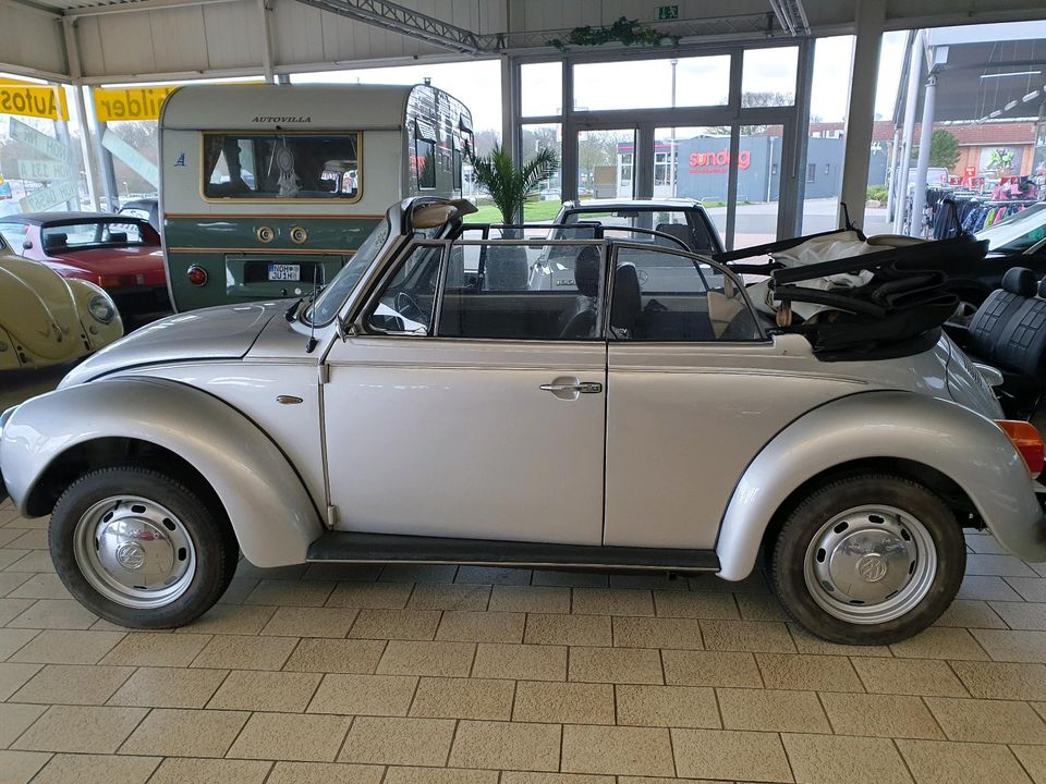 VW 1303 Cabrio Käfer Cabriolet in Bad Bentheim