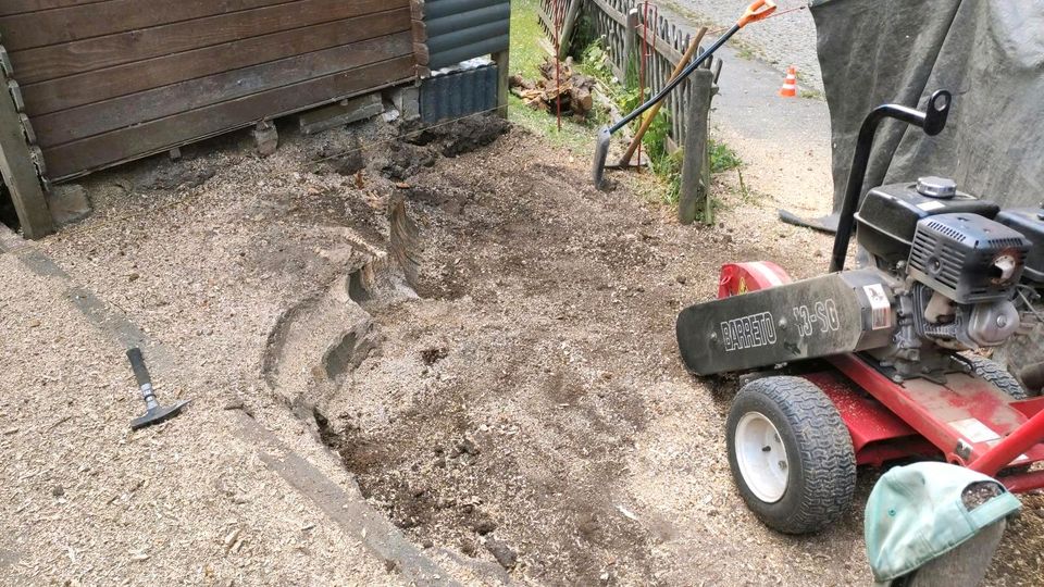 Wurzelfräsen Stubbenfräsen Baumstumpffräsen Baumfällung in Georgsmarienhütte