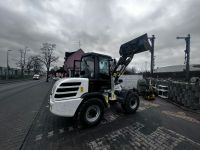 TL 80 Terex Radlader zu Vermieten / Verleih / Miete Rheinland-Pfalz - Diez Vorschau