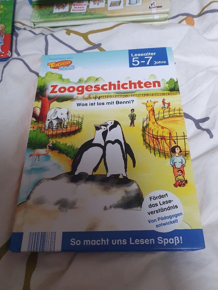 Bücher Kinderbücher Lesestart in Breydin