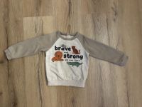 Pullover Tiere Strong C&A 100% Baumwolle Gr.86 Berlin - Steglitz Vorschau