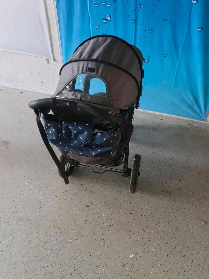 Kinderwagen  Jogger in Pfaffen-Schwabenheim