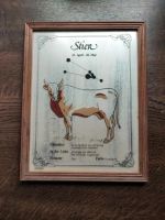 Glasbild Sternzeichen Stier zu verschenken Hessen - Hofbieber Vorschau