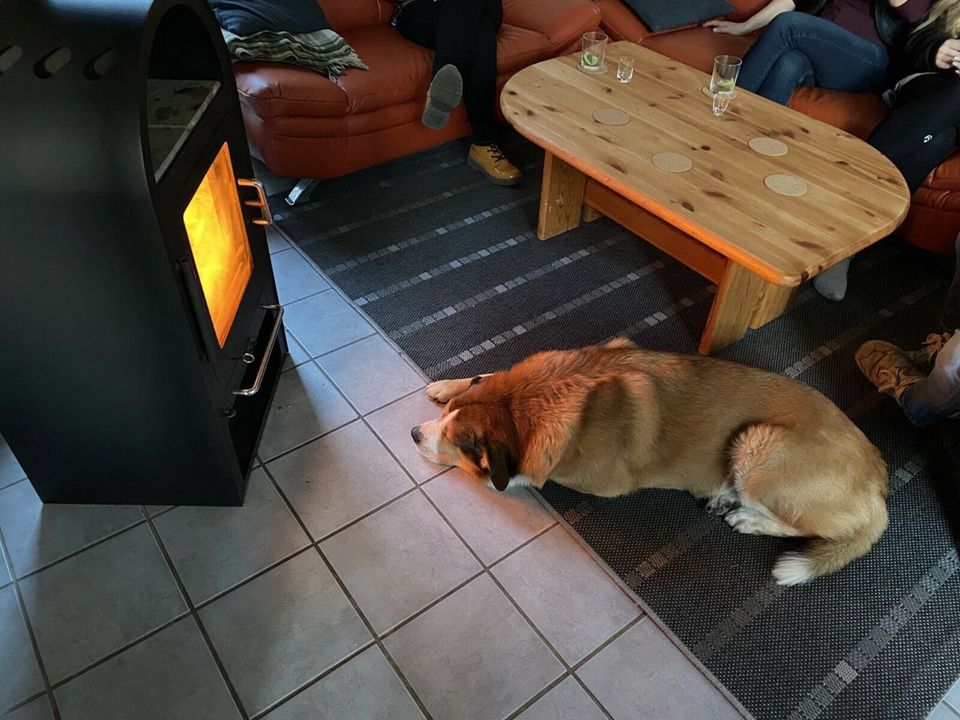 Ferienhaus am See Mecklenburg Seenplatte Sauna Kamin Mirow Hund in Mirow