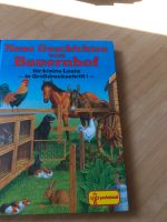 Kinderbuch Bayern - Wassertrüdingen Vorschau