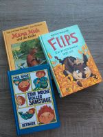 Verkaufe verschiedene Kinderbücher Das Sams ,Mama Muh ,Flips Niedersachsen - Barsinghausen Vorschau