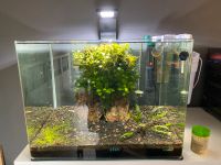 Aquarium Dennerle Nano Cube 55l Bayern - Obernburg Vorschau