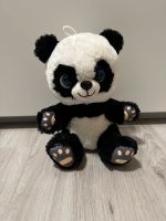 Teddy Panda Dortmund - Lütgendortmund Vorschau
