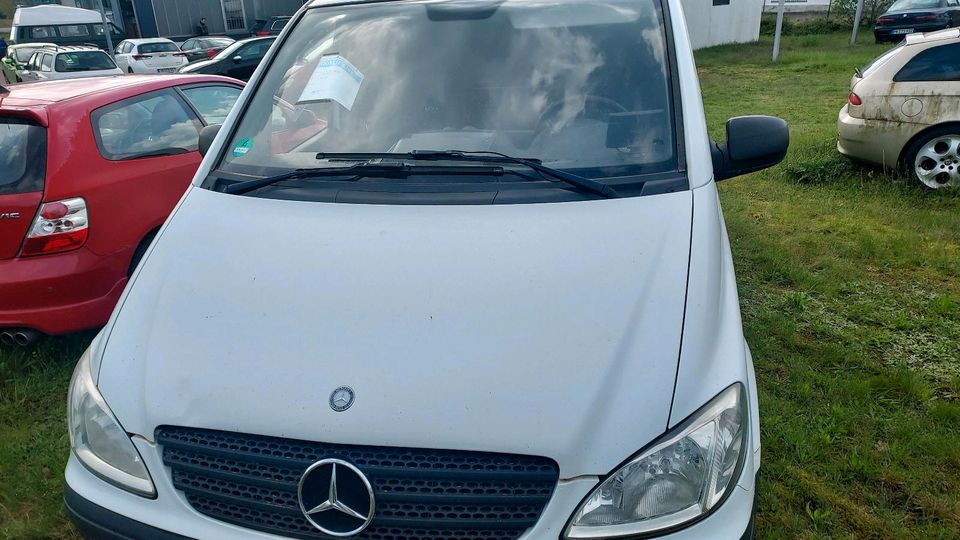 Mercedes Benz Vito 639    109 CDI in Bad Fallingbostel