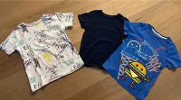 T-Shirt Paket Gr. 110/116 h&m/zara Baden-Württemberg - Heuchlingen Vorschau