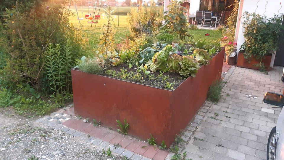 Hochbeet Pflanztrog nach Maß Einzelanfertigung Stahl Rost Eisen in Tuntenhausen