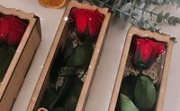 Valentinstagsgeschenk konservierte infinity Rose mit oder o. Box Nordrhein-Westfalen - Lünen Vorschau