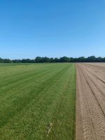 Rollrasen Rasen Niedersachsen - Osterholz-Scharmbeck Vorschau