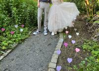 Deko Herzen Hochzeit Pappe Nordrhein-Westfalen - Krefeld Vorschau