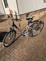 Fahrrad Damenrad 28er kaum benutzt 21 Gang Shimano Vierkirchen - Prachenau Vorschau