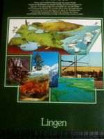 Noch mehr Wissen über Natur - Lingen von 1988 Nordrhein-Westfalen - Kalletal Vorschau