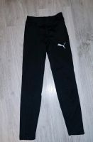 Sporthose Puma Gr 128 Nordrhein-Westfalen - Kerpen Vorschau