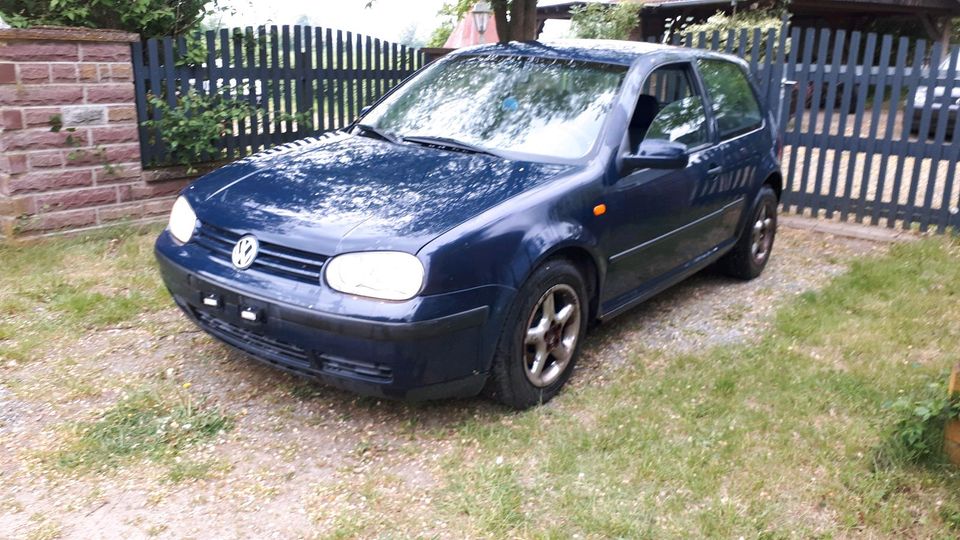 Golf 4 1,9 tdi in Schwarmstedt