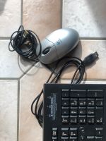 HP PC Tastatur USB Logitech Maus Berlin - Spandau Vorschau