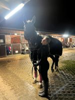 Reitbeteiligung gesucht Reiter sucht Pferd Nordrhein-Westfalen - Bergisch Gladbach Vorschau