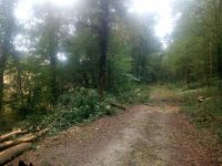 Wegearbeiten Anlage von Plätzen Waldwegen Gräben Wirtschaftswegen Nordrhein-Westfalen - Heinsberg Vorschau