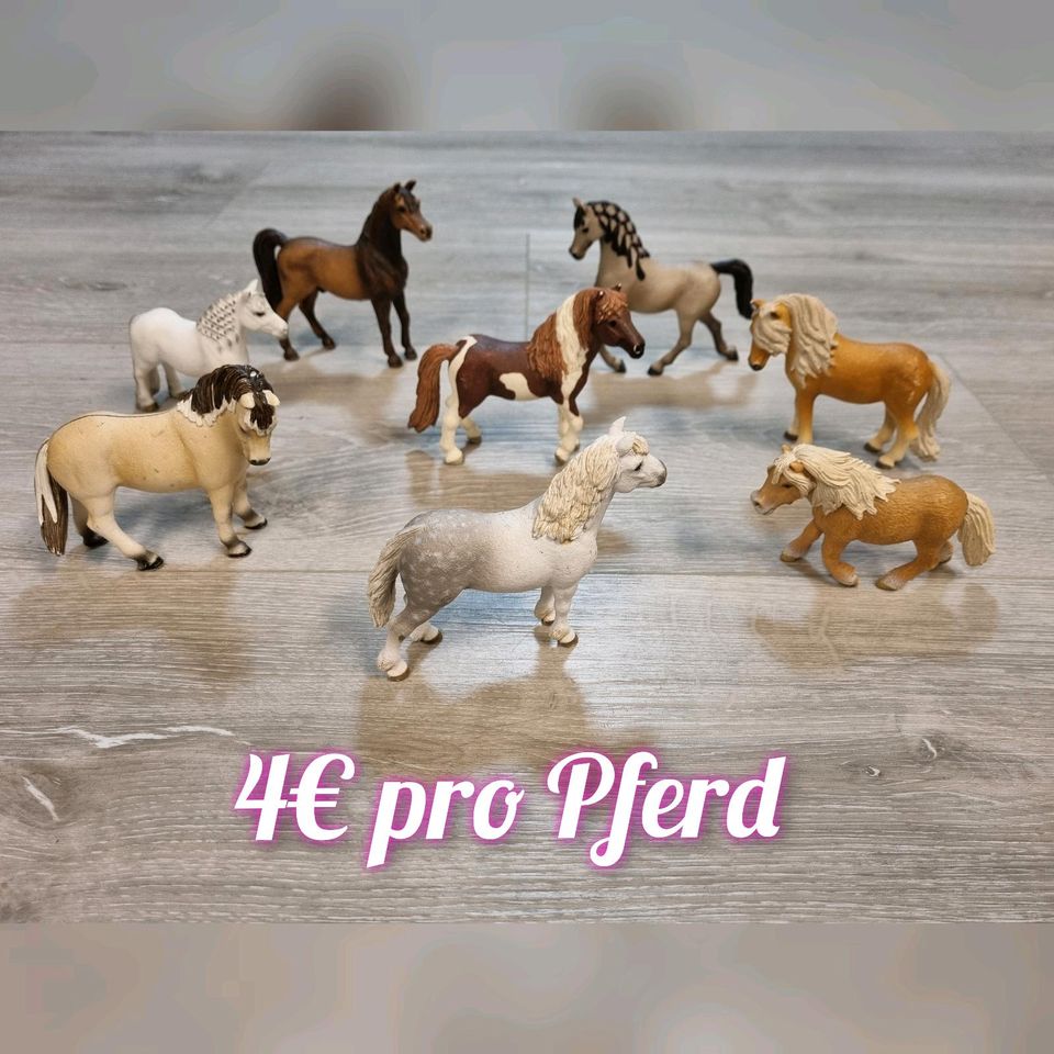 Schleich Pferde zu verkaufen in Köln