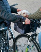 Trixie Fahrradkorb & Tragetasche + Sonnensegel & wärmenden Sack Sachsen-Anhalt - Halle Vorschau