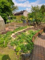 Kleingarten zu verkaufen nur noch heute ! Nordrhein-Westfalen - Castrop-Rauxel Vorschau
