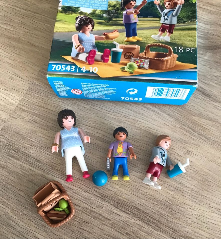 TOP Playmobil Picknick im Park 70543 in Albstadt