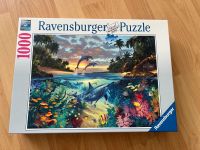 Ravensburger Puzzle Korallenbucht Bayern - Puchheim Vorschau