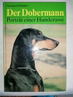 Der Dobermann - Porträt einer Hunderasse Hessen - Stadtallendorf Vorschau