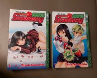 Manga 100% Strawberry. 1 und 2 Bände Nordrhein-Westfalen - Rahden Vorschau