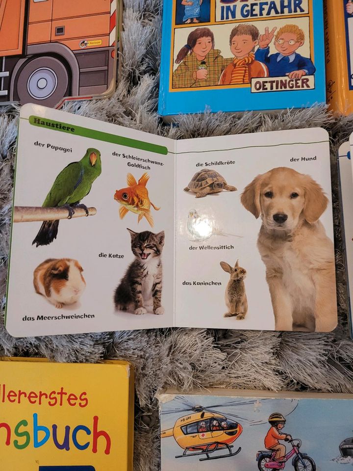 Kinderbücher Sams Regenbogenfisch Winnie Pooh Babybuch Hör mal Fa in Berlin