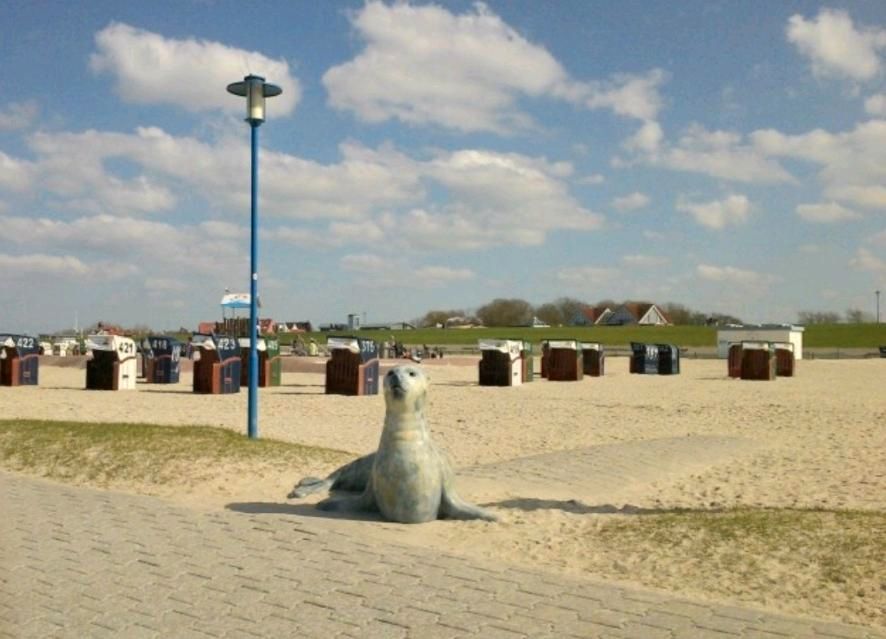 Nordsee Ferienhaus Ferienwohnung Neuharlingersiel Carolinensiel in Carolinensiel