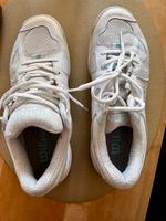 Neuwertige weiße Hallentennisschuhe „Wilson“ Hamburg-Nord - Hamburg Alsterdorf  Vorschau