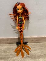 Monster High Puppe Scarrier Reef Rheinland-Pfalz - Mainz Vorschau