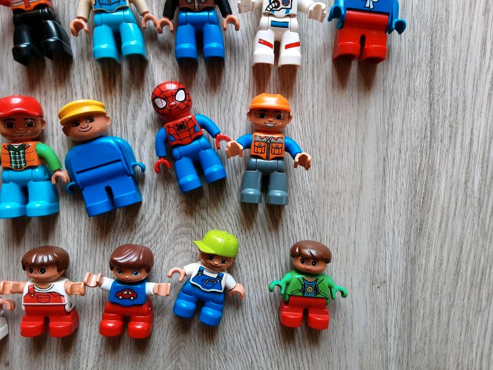 Lego Duplo Figuren in Lindewitt