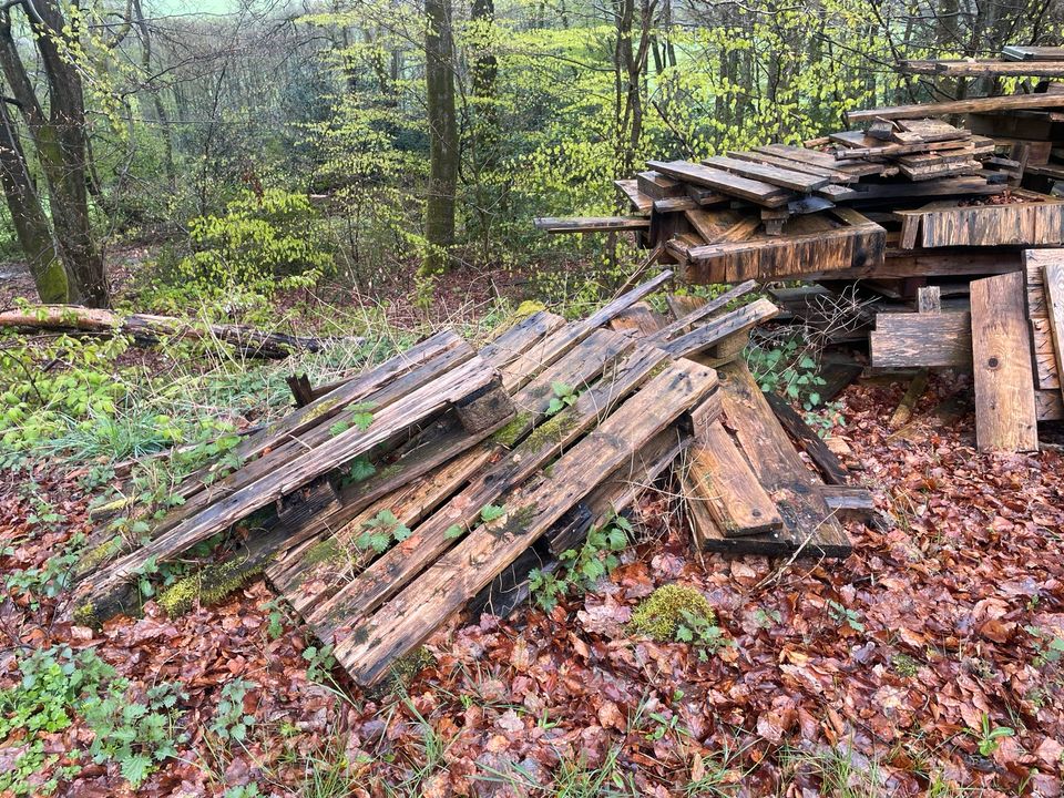 Zu verschenken Palettenholz Holzreste Brennholz in Herscheid