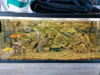 Aquarium  180l  mit Zubehör und Unterschrank Mecklenburg-Vorpommern - Siggelkow Vorschau