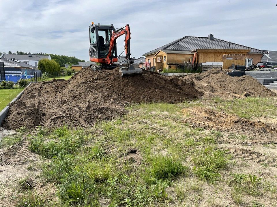 Gartenarbeiten Erdarbeiten Rasen anlegen in Hermannsburg