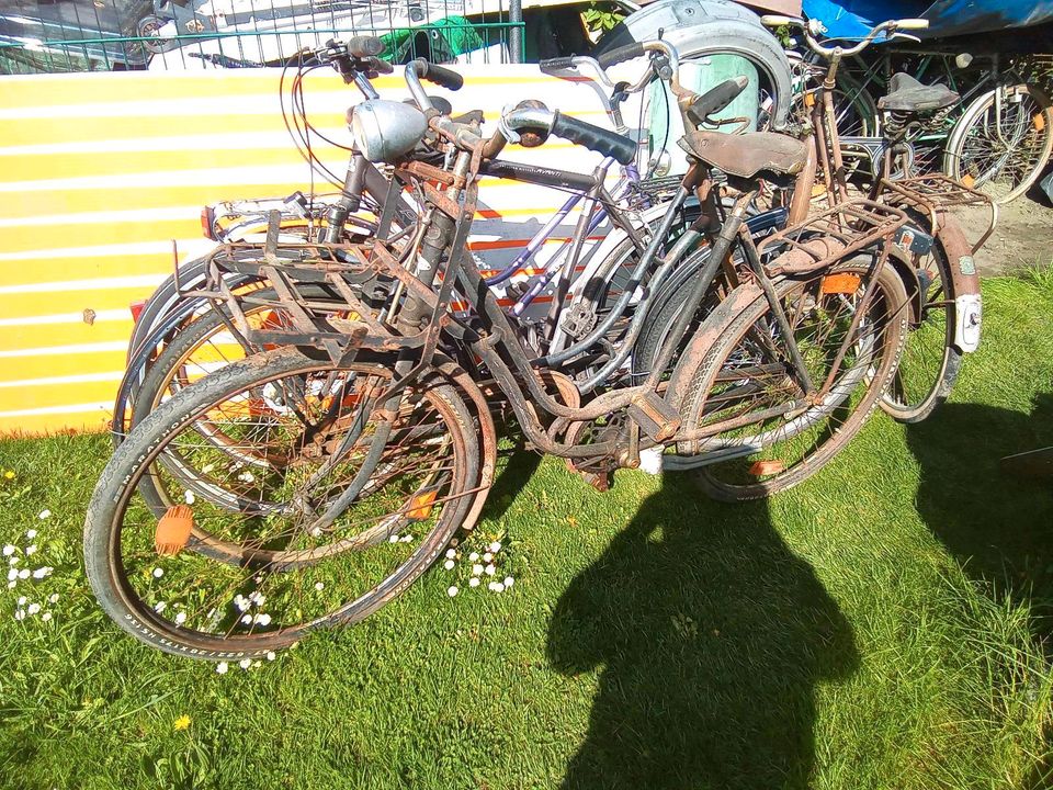 Oldtimer Fahrrad, Rabeneik, Wanderer, Pegasus in Fürstenfeldbruck
