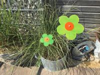 Pflanzenstecker Sonnenfänger als Blume in Set Bayern - Friedberg Vorschau