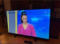 Philips 49PUK4900/12 4K UHD fernseher 125 cm 49 Zoll TV Thüringen - Hildburghausen Vorschau