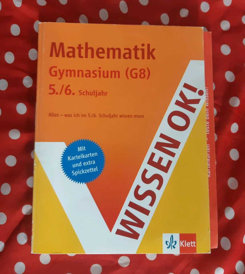 Mathematik Gymnasium 5./6. WISSEN OK Klett in Greiz