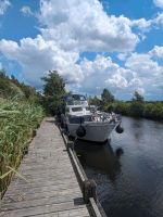 Boot Maascruiser 10,5 m Niedersachsen - Wiesmoor Vorschau