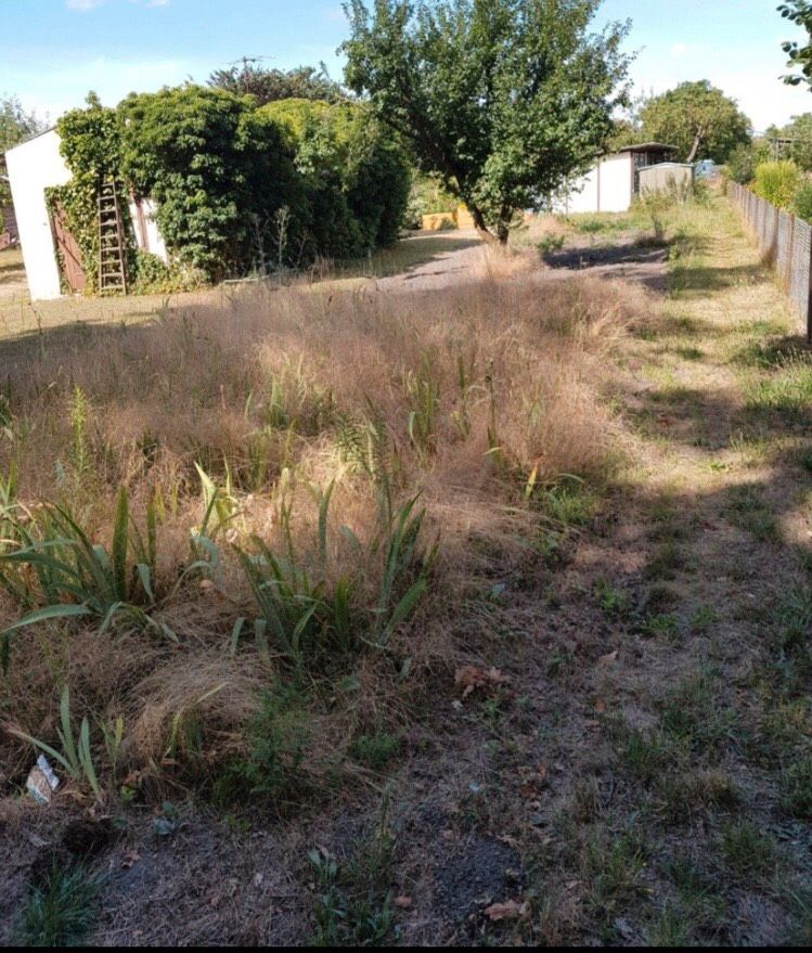 Kleingarten mit Laube zu verkaufen in Kalbe (Milde)