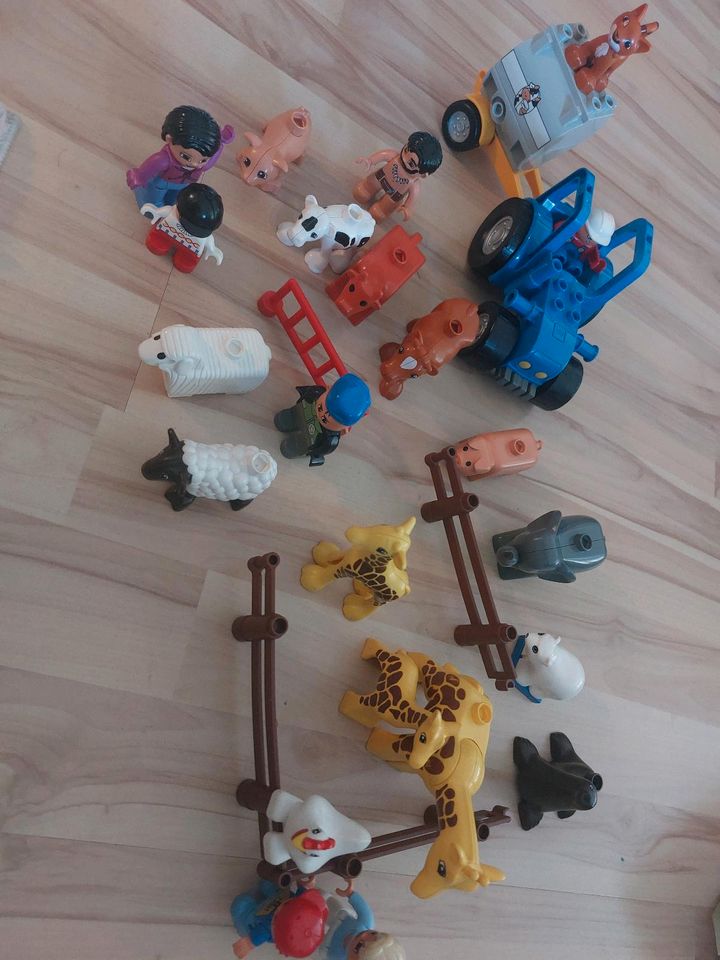 Lego Duplo Steine+Figuren in Rodgau