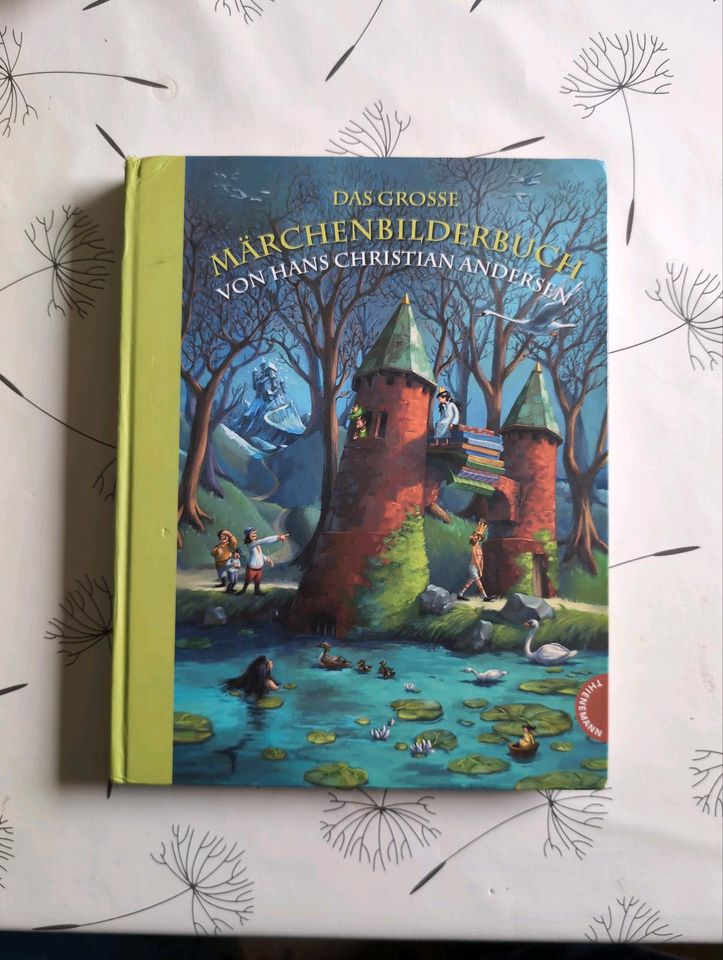 Das große Märchenbilderbuch von Hans Christian Andersen Buch in Kiel