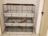 Kleintier-Käfig 3-stöckig für Kaninchen, Meerschweinchen Rheinland-Pfalz - Salmtal Vorschau