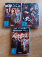 Being Human *komplette Serie 1-3, DvD, deutsch Nordrhein-Westfalen - Reichshof Vorschau